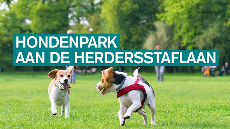 hondenpark aan de herdersstaflaan 