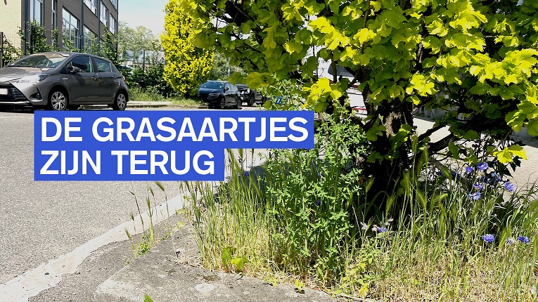 Stop met grasaartjes