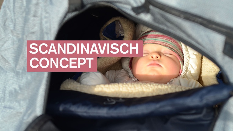 Een Scandinavisch concept