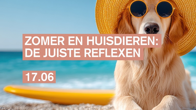 Lezing - Zomer en huisdieren: de juiste reflexen